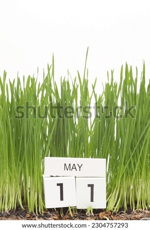 Wooden block calendar with date may 11 on green grass isolated on white background. Springtime, planning