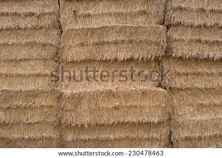 straw bales in a bunch in rows