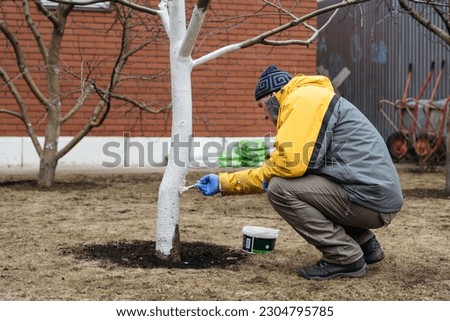 Early spring, farmer covering the tree with white paint to protect against rodents, spring garden work, whitewashed trees. Gardening and people concept. High quality photo