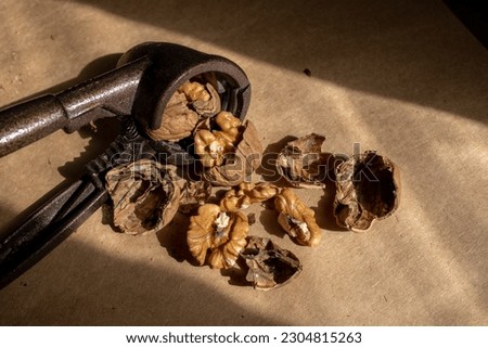 photo of some opened nuts with Nutcracker