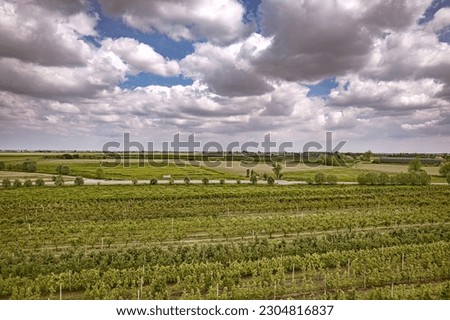 Overhead view of agricultural fields in Northern Italy under a cloudy sky