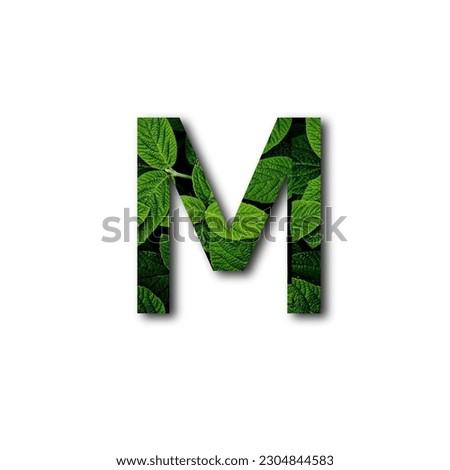 Leafs font M made of Real alive leafs with Precious paper cut shape of font. Leafs font.

