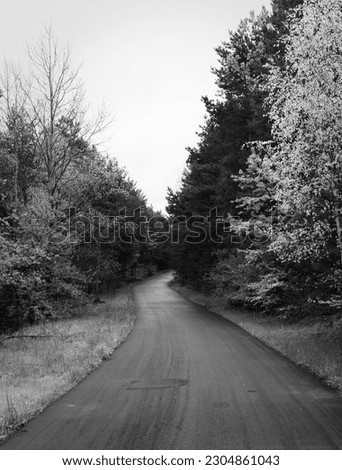A picture of a road to nowhere in black and white