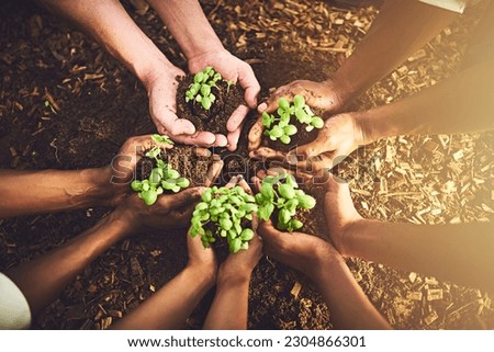 Closeup, top view and hands with soil, plants and agriculture with growth, environment and nature. Zoom, people and earth with sustainability, recycle and leave with eco friendly, natural and farm Royalty-Free Stock Photo #2304866301
