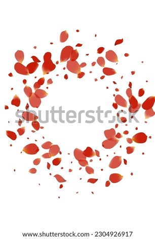 Red Rose Beauty Vector White Background. Tender Blossom Banner. Pink Flower Japanese Design. Delicate Floral Flying Cover.