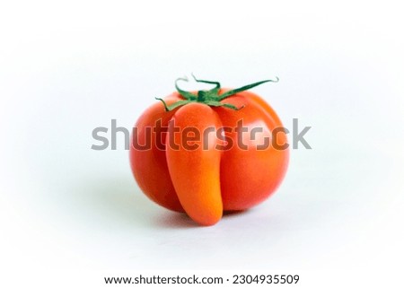 Deformed red tomatoes on a white background ,Funny deformed red tomato with a nose  Royalty-Free Stock Photo #2304935509