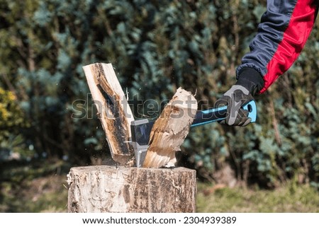 Close-up of split wood logs by sharp axe and human hand in working glove. Male arm holding splitting ax with plastic handle at firewood preparation on wooden chopping block on garden hedge background.