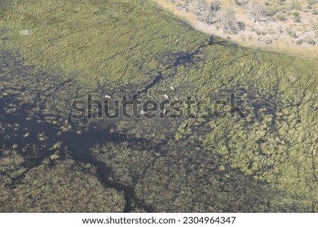 Flight over the Okavango Delta
