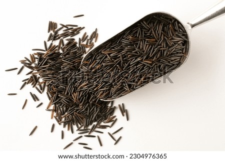 Uncooked MN Cultivated Long Grain Rice Spilled from a Scoop Royalty-Free Stock Photo #2304976365