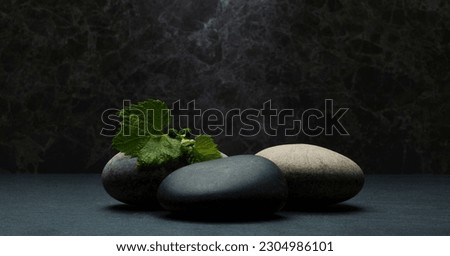 stones and plants for product presentation podium. gray and black zen stones with green leaves and white flower for podium background. spa skin care cosmetic medicine concept