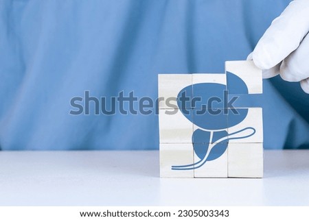 Bladder and prostate, HTA. Prostate cancer, bladder cancer, men's health care. Adult male medical checkup concept. Doctor's hand sorts the wooden cubes. Royalty-Free Stock Photo #2305003343