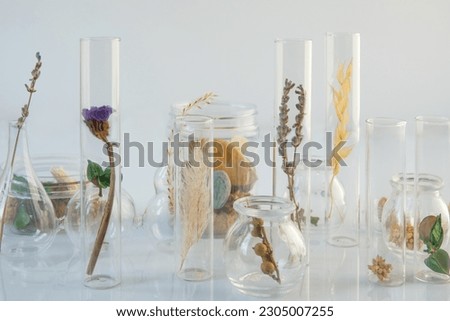 Concept of homeopathic medicine. dry plants in lab glassware Royalty-Free Stock Photo #2305007255