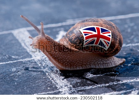 finish line winning of a snail with the colors of England flag. Brexit UK metaphor