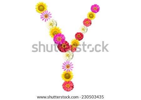 Letter Y - flower isolated on white background, font