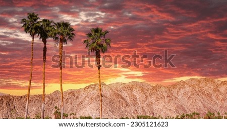 san jacinto mountain, palm springs, california Royalty-Free Stock Photo #2305121623