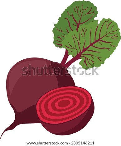 Beetroot Vegetable, Beetroot Illustration, Beetroot Vector art, vegetable illustration Royalty-Free Stock Photo #2305146211