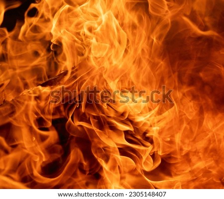 Blazing flames of fire on black background