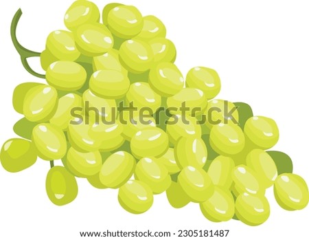 Grapes Illustration, Grapes Vector Art, Green Grapes Fruit Royalty-Free Stock Photo #2305181487