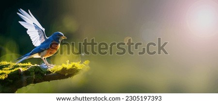 Natural background and a small blue bird perched on a branch with a small moss tree, covered in the forest by water against the yellow light of the background of the spring morning sun Royalty-Free Stock Photo #2305197393