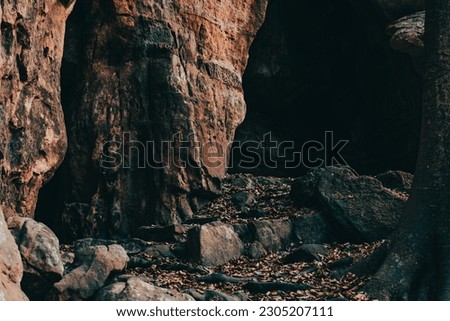 dark rocky path. entrance to a rocky cave in the forest. forest landscape with large limestone