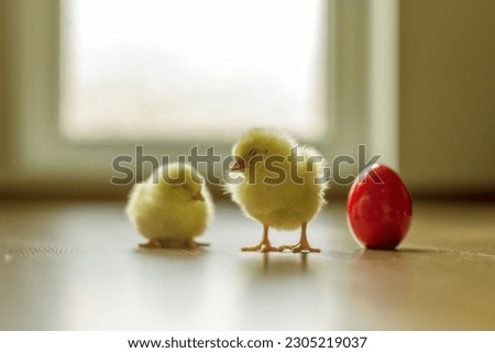 Frohe Ostern Ostereier. With small chicks