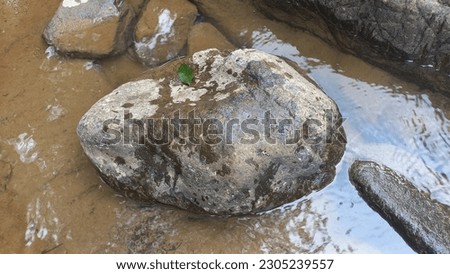Expanse of natural stone with a large size in the river