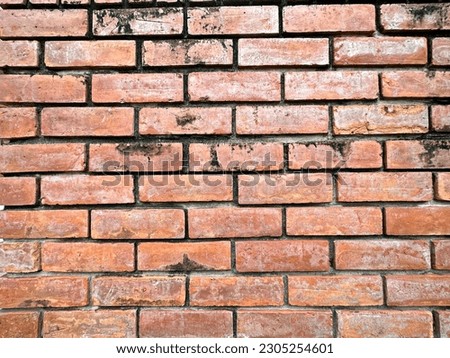 Red bricks arranged on the floor or wall in the garden to decorate beautifully.
