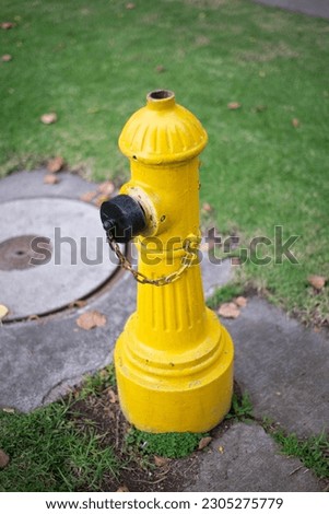 close up of a yellow hydrants