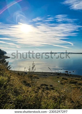 The White Sea coast with trees in the foreground and stones in the water on a sunny day.