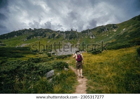A back view of man hiker in a leather hat, with a backpack, on the trail leading to the top of Mount Spitsy, Carpathian Mountains, nature of Ukraine. Tourism and active lifestyle Royalty-Free Stock Photo #2305317277