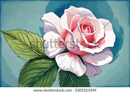 Watercolor Rose Flower Editable vactor illustration
