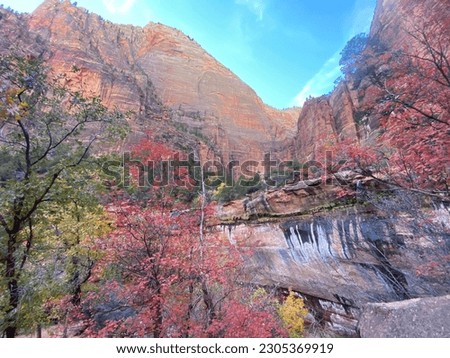 Beautiful background picture. Fall foliage and amazing mountains