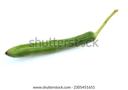 fresh green raw sponge gourd or (Luffa aegyptiaca.) Vegetable isolated on a placed on a white backdrop