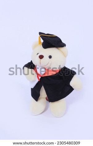 cute bear graduation dolls in the white background
