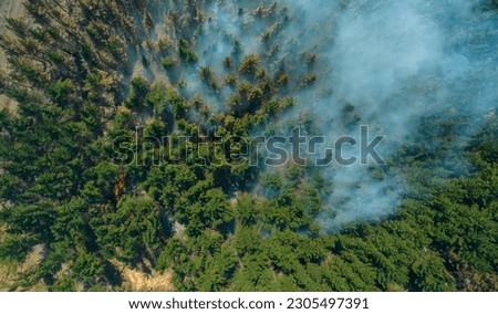 View from above of a forest fire in Cabrero, in the Biobío area. In February 2023, Chile suffered hundreds of fires in the southern zone, which burned thousands of hectares. many were intentional Royalty-Free Stock Photo #2305497391