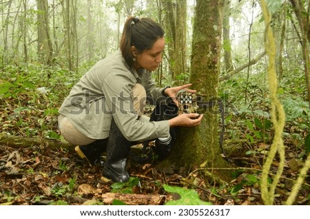 A female wildlife biologist setting a camera trap in the forest