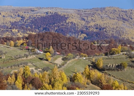 Autumn picture from the mountain village of Meria, Ținutul Pădurenilor , Romania