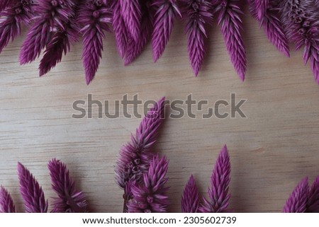 full frame of Celosia argentea flower with interesting arrangement and wooden background. 
for backgrounds, wallpapers and cards