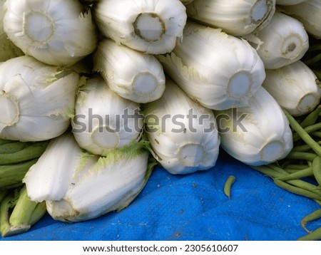 pile of Peking Cabbage in a traditional market
