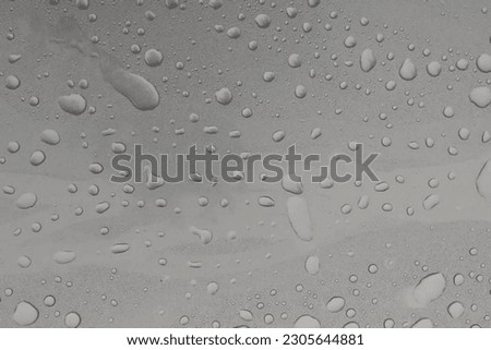 Rain Water Drop Wallpaper Background 