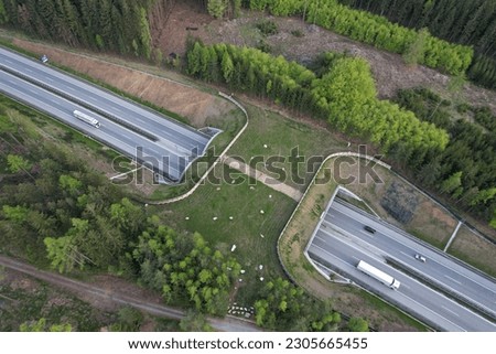 Aerial panorama view of ecoduct or wildlife crossing - vegetation covered bridge over a motorway that allows wildlife to safely cross over,wildlife crossing over busy highway,animal overpass Royalty-Free Stock Photo #2305665455