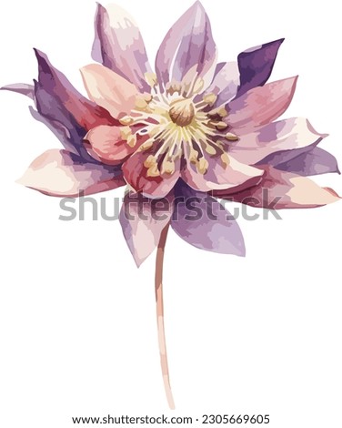 Aquilegia flower clipart, isolated vector illustration. Royalty-Free Stock Photo #2305669605