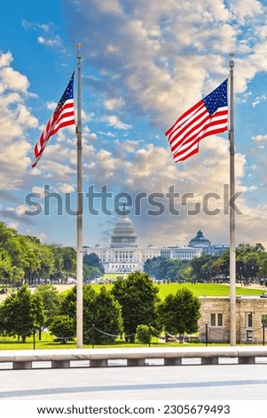 The United States Capitol Building with US Flags in Foreground Washington DC