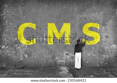 businesswoman drawing cms on the wall