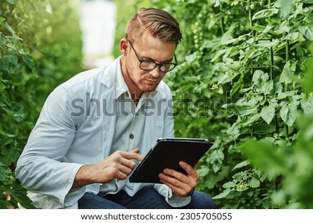 Scientist, plants and tablet for research on a farm or ecology for working in agro and agriculture. Science, expert and growth for farming in a greenhouse for analysis of the environment or nature. Royalty-Free Stock Photo #2305705055