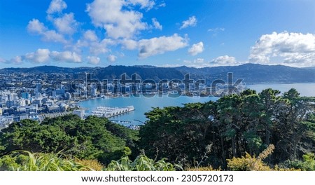 View over the capital Wellington from Mount Victoria, North Island, New Zealand Royalty-Free Stock Photo #2305720173