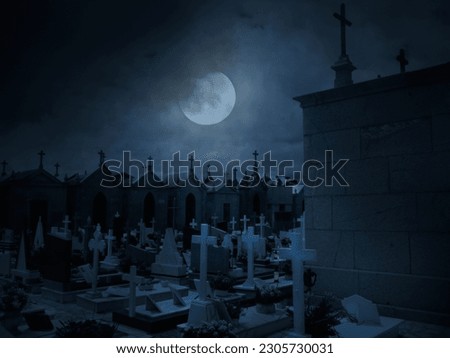 Old European cemetery by night - moonlit