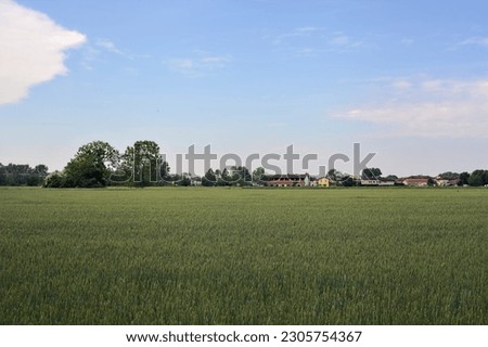 Dirt  path between fields with a village and a grove in the distance on a cloudy day in the italian countryside