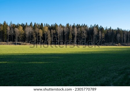 Swedish sunny scandinavian typical nature concept: Tyresta national park landscapes Royalty-Free Stock Photo #2305770789