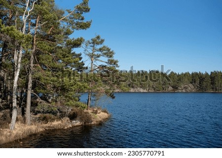 Swedish sunny scandinavian typical nature concept: Tyresta national park landscapes Royalty-Free Stock Photo #2305770791
